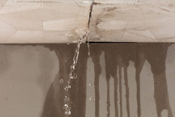 Professional Water Damage Repair technician working in Seagoville, TX
